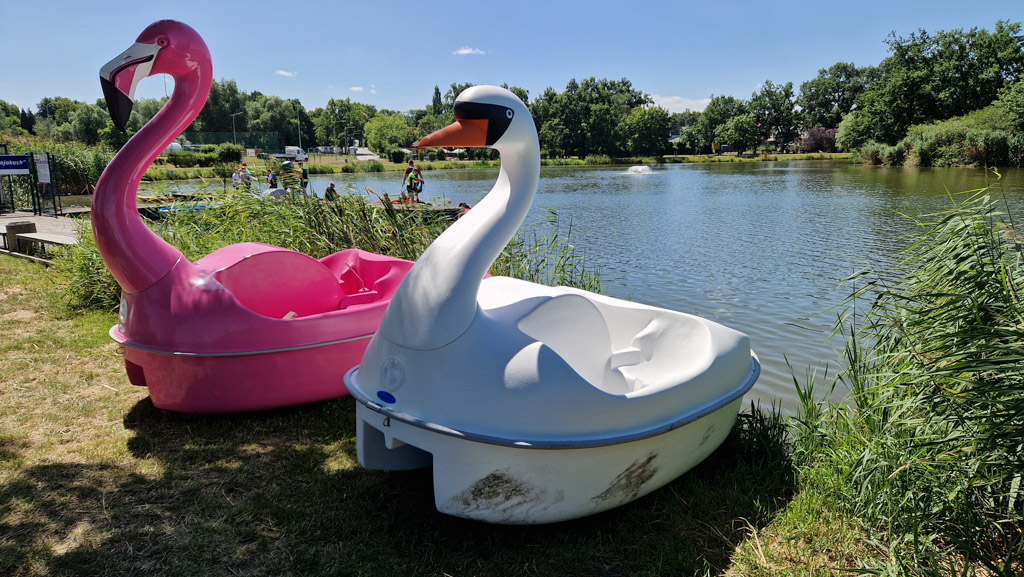 Rower wodny Łabędź navigo producent