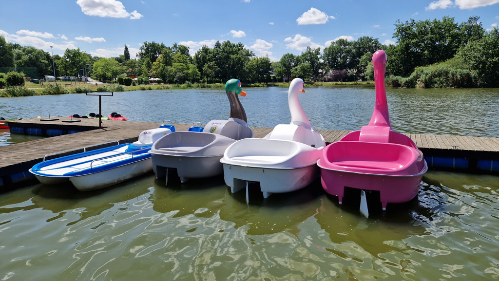 Rowery wodne Łabędź navigo sprzedaz