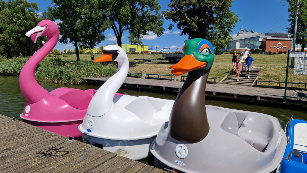 Rower wodny Łabędź navigo producent